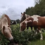 4 Sterne Ostsee Auf Dem Roehling Appartamento *
